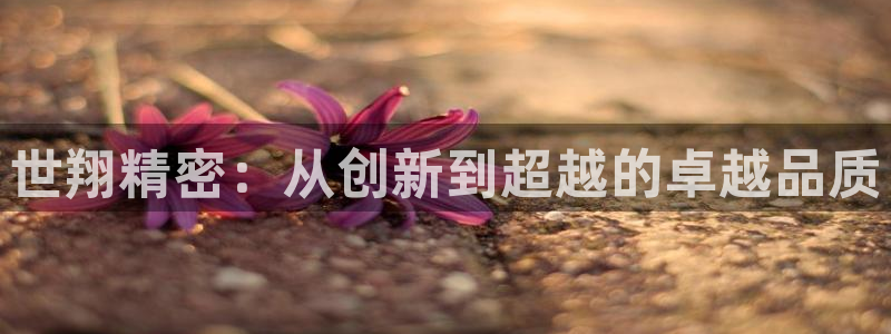 济宁摩根国际娱乐