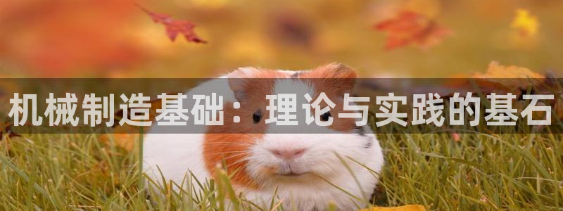 摩根娱乐宝官网