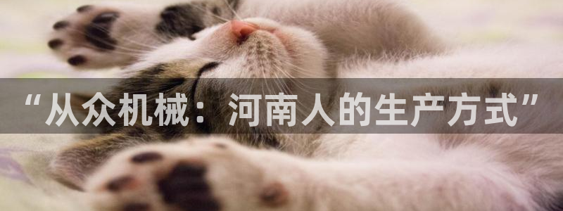 摩根娱乐这个平台怎么样