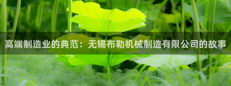 摩根娱乐宝官网下载