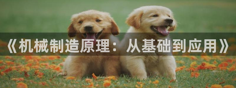 泉州摩根会娱乐邮箱