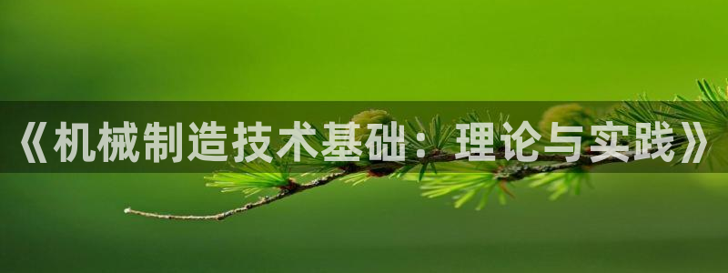 摩根娱乐挂机项目怎么样