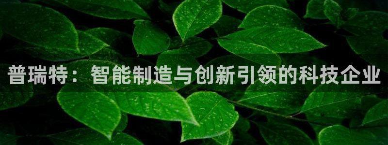 摩根娱乐宝账户