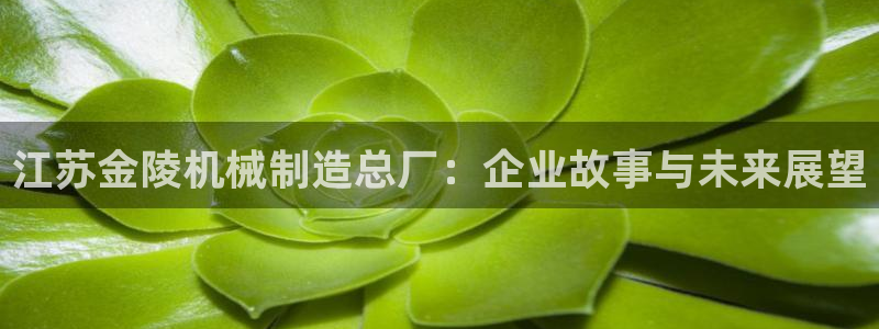 摩根娱乐宝是真的吗