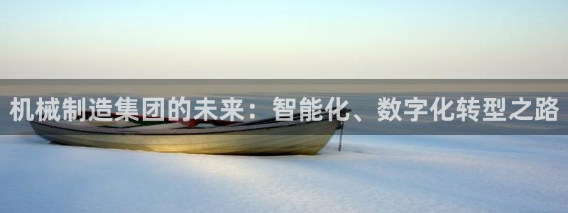 奥飞娱乐摩根调研