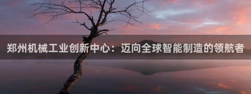 华视娱乐 摩根 王琛