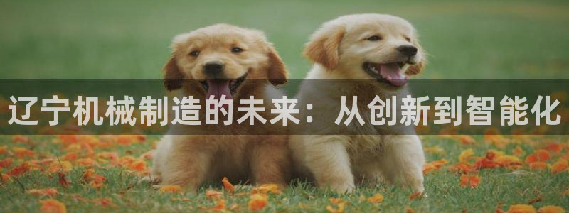 主角是摩根家族的娱乐文