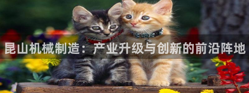 摩根娱乐宝是骗人的的吗