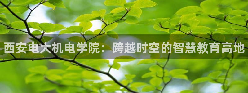 摩根娱乐1老o板50820