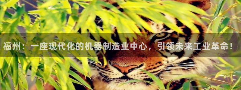 摩根会娱乐会所