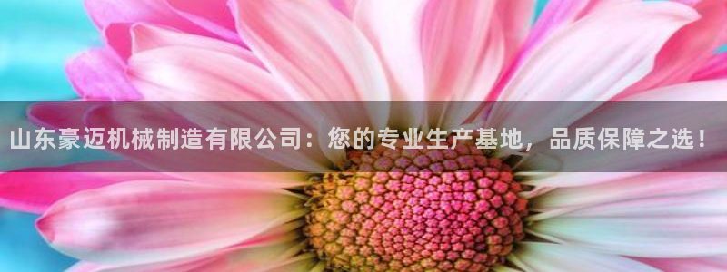 摩根娱乐50186加