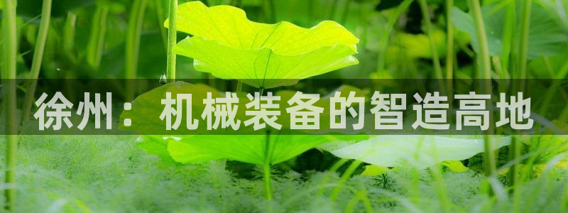 摩根娱乐宝真的假的