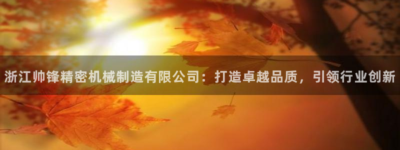 上投摩根娱乐