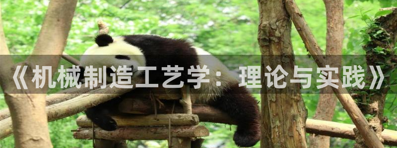 泉州摩根娱乐会所电话