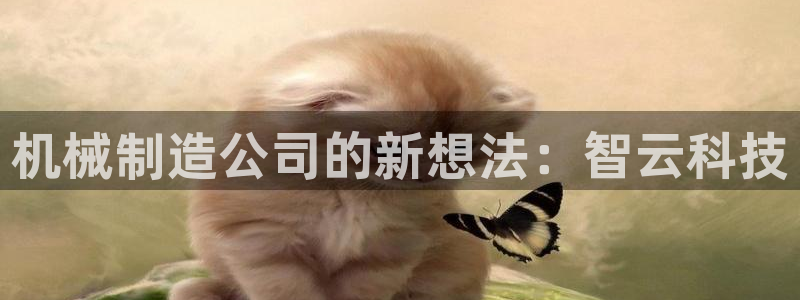 摩根娱乐宝官网下载