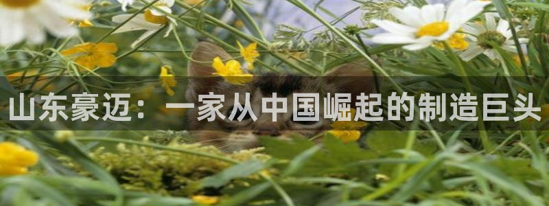 摩根娱乐宝。知道吗