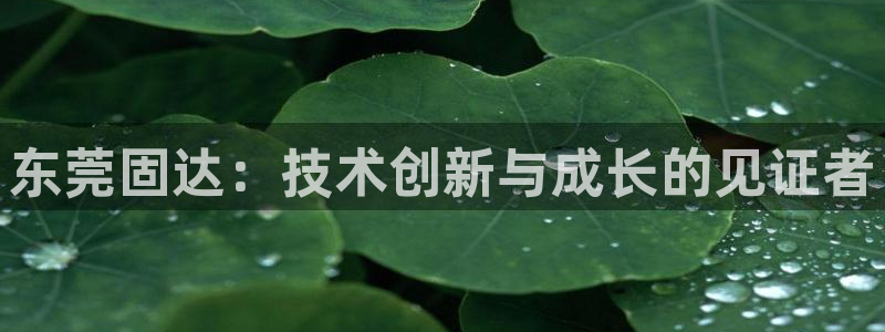首页摩根娱乐平台
